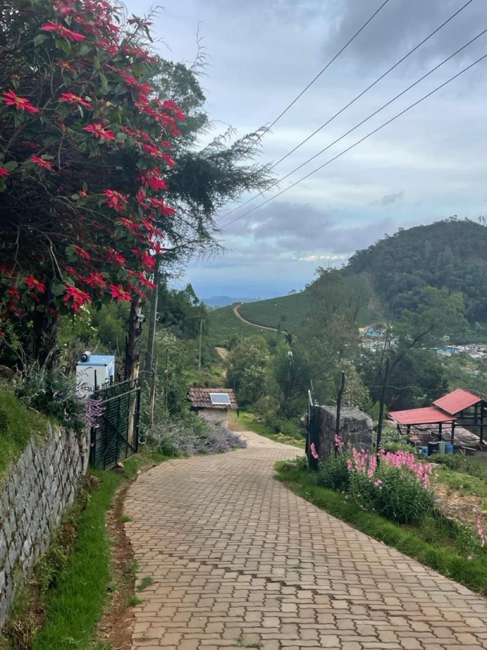 Stumpfields Bed & Breakfast Ooty Dış mekan fotoğraf
