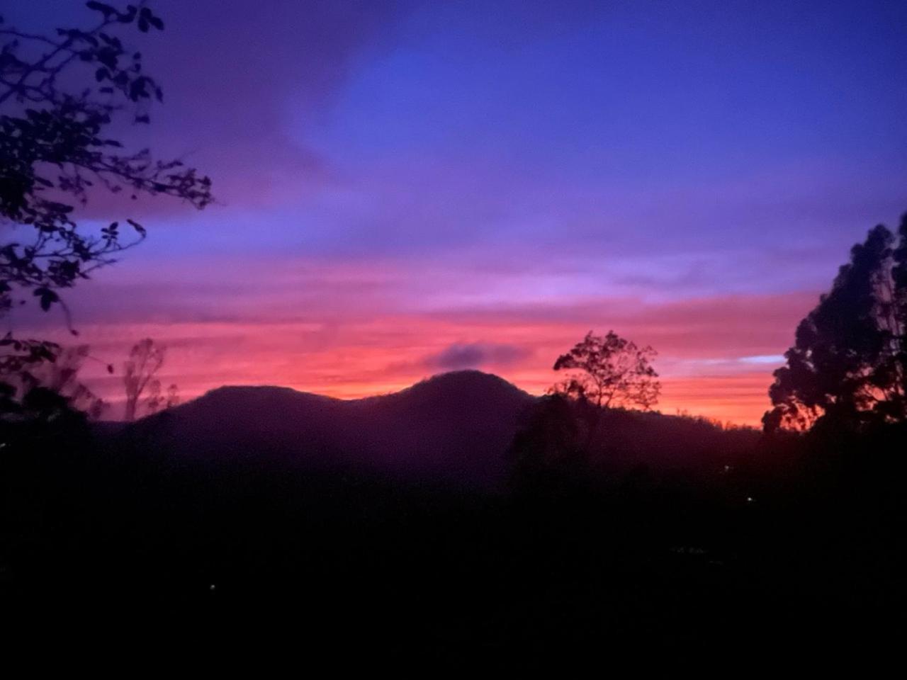 Stumpfields Bed & Breakfast Ooty Dış mekan fotoğraf